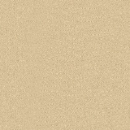 300036