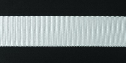 301010