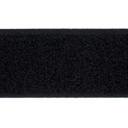 303041